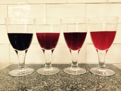 Various berry wines. Recipes in archive
