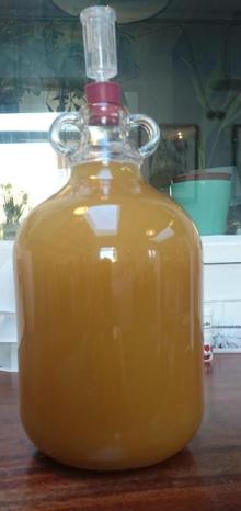 Gorse wine at one month2